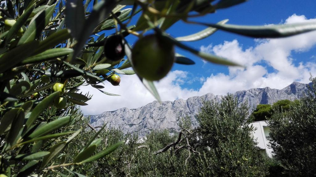 Apartmani Sabic A6 Makarska Kültér fotó